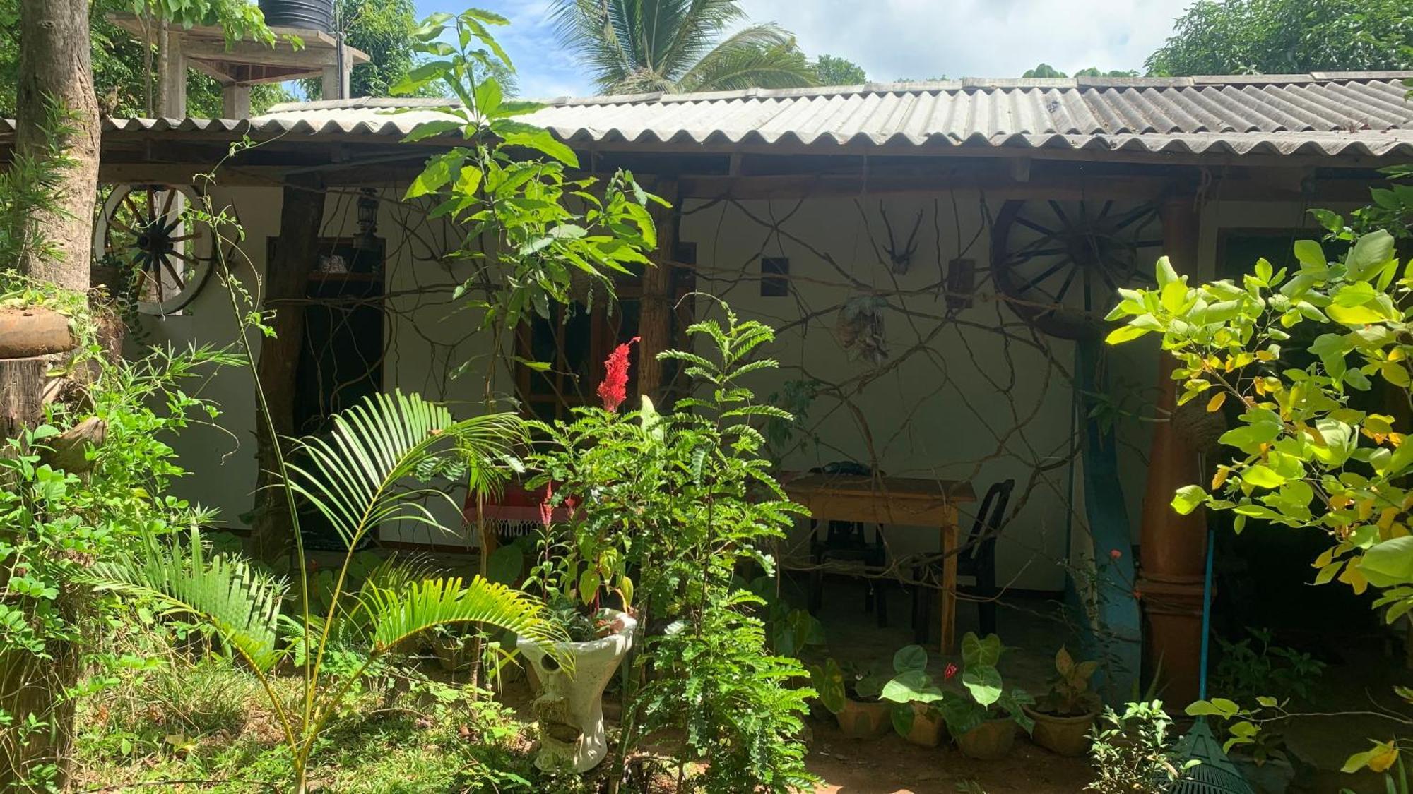 Sigiri Birds Hostel 시기리야 외부 사진