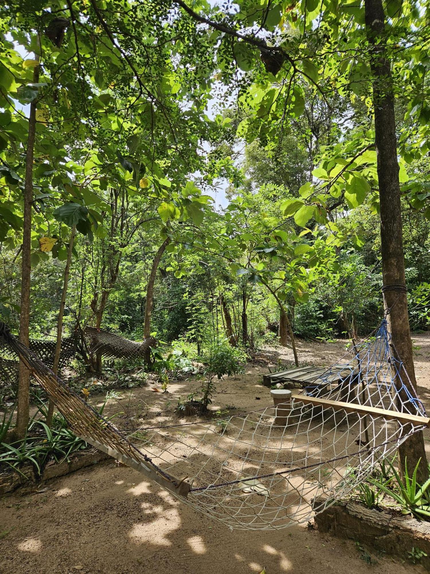 Sigiri Birds Hostel 시기리야 외부 사진